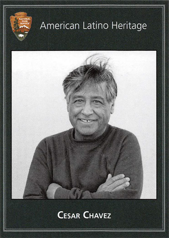 card cover
