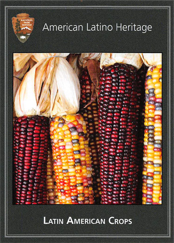 card cover