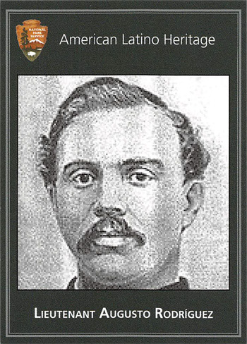 card cover