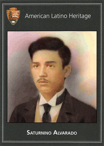card cover