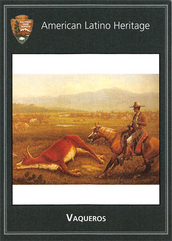 card cover