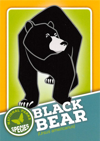 card cover