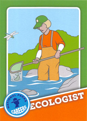 card cover