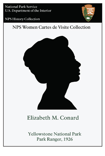 card cover
