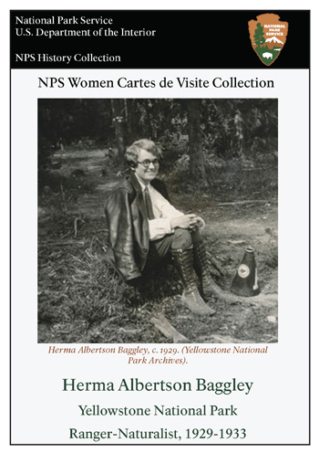 card cover