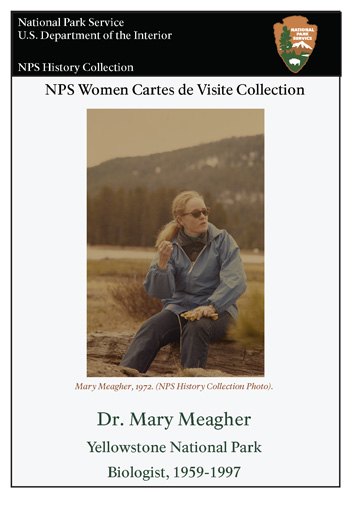 card cover