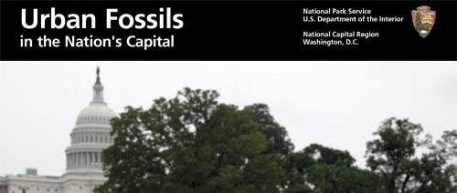 brochure cover