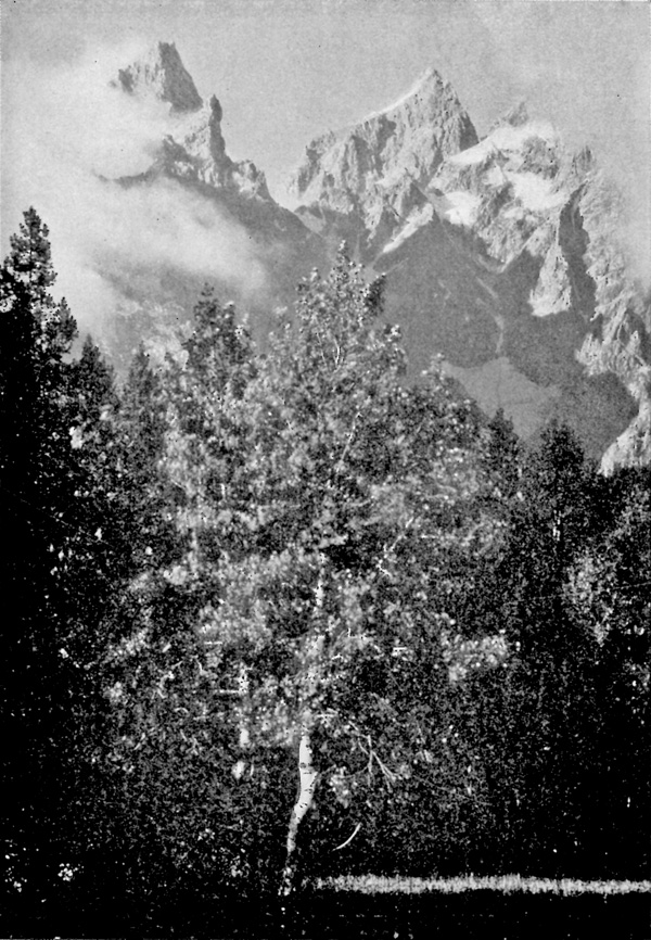 Grand Teton NP