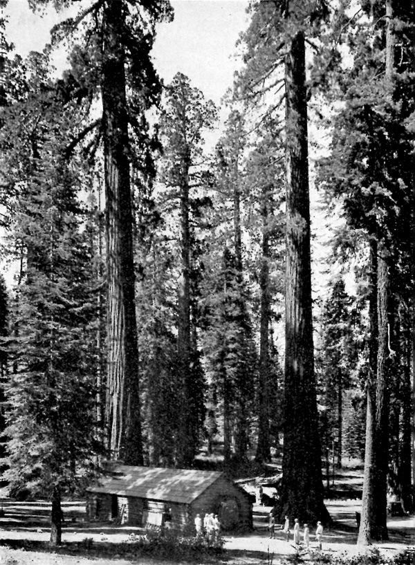Yosemite NP