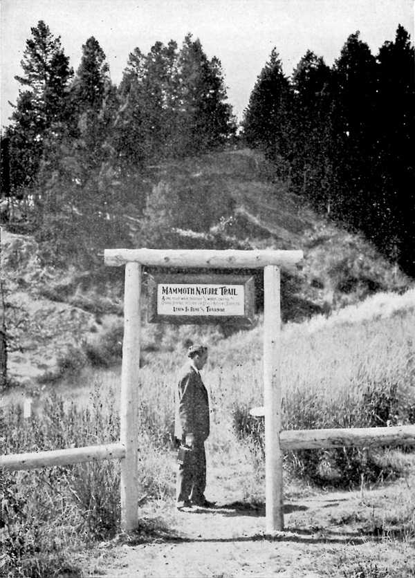 Yellowstone NP