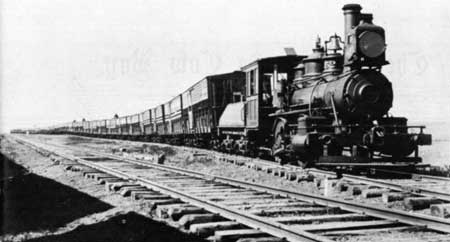 livestock train