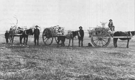 Red River cars