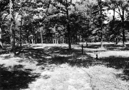 Sunken Road