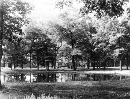 Bloody Pond