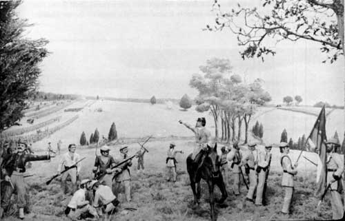 diorama in the museum