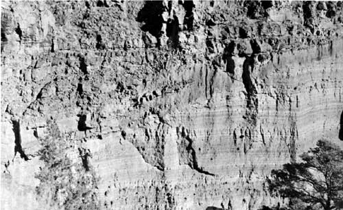 Frijoles Canyon