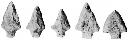 dart points