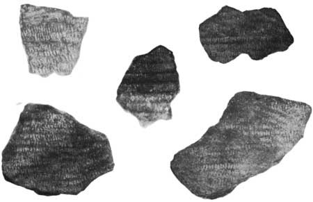 basket fragments