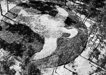 eagle effigy