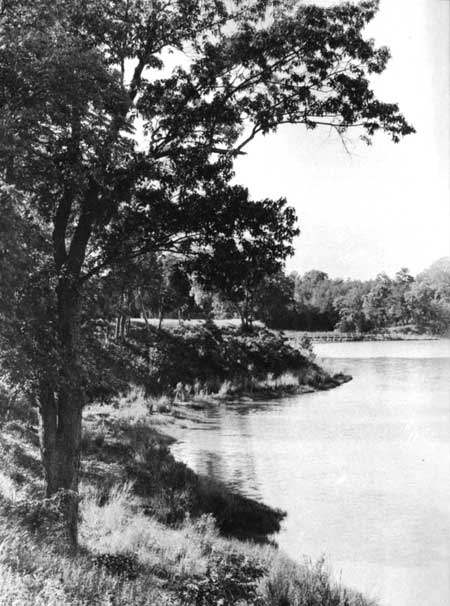 scene along Popes Creek