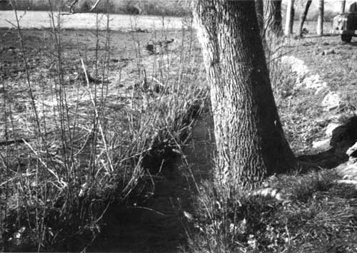 irrigation ditch