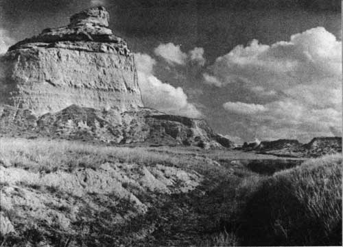 rut of the Oregon Trail