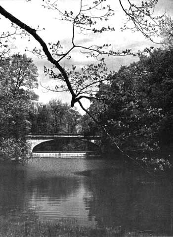White Bridge