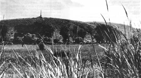 view of park and Great Grave
