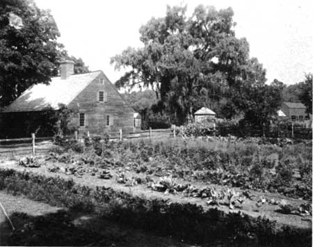 garden