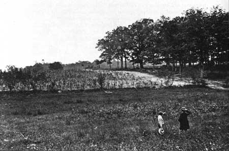 McPherson Ridge and Woods
