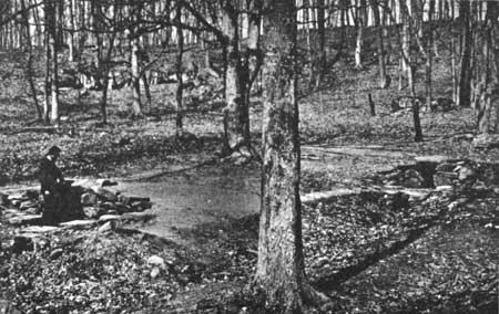 Spangler's Spring