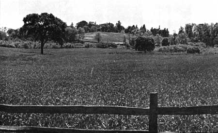 East Cemetery Hill