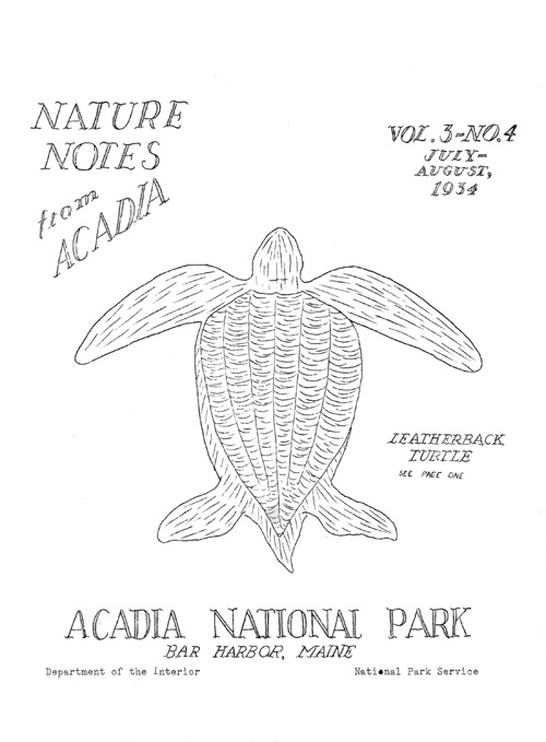 issue cover