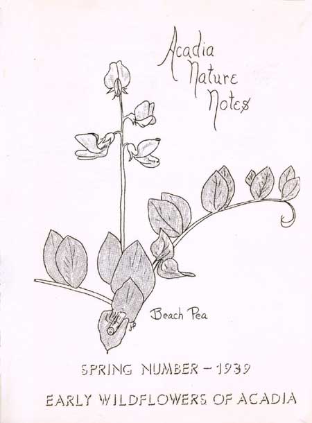 issue cover