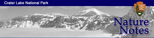 Nature Notes banner