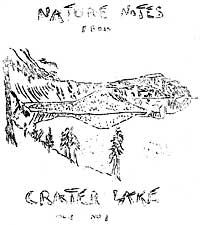 cover of issue