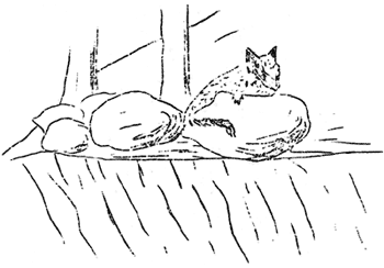 sketch of chipmunk on boulder