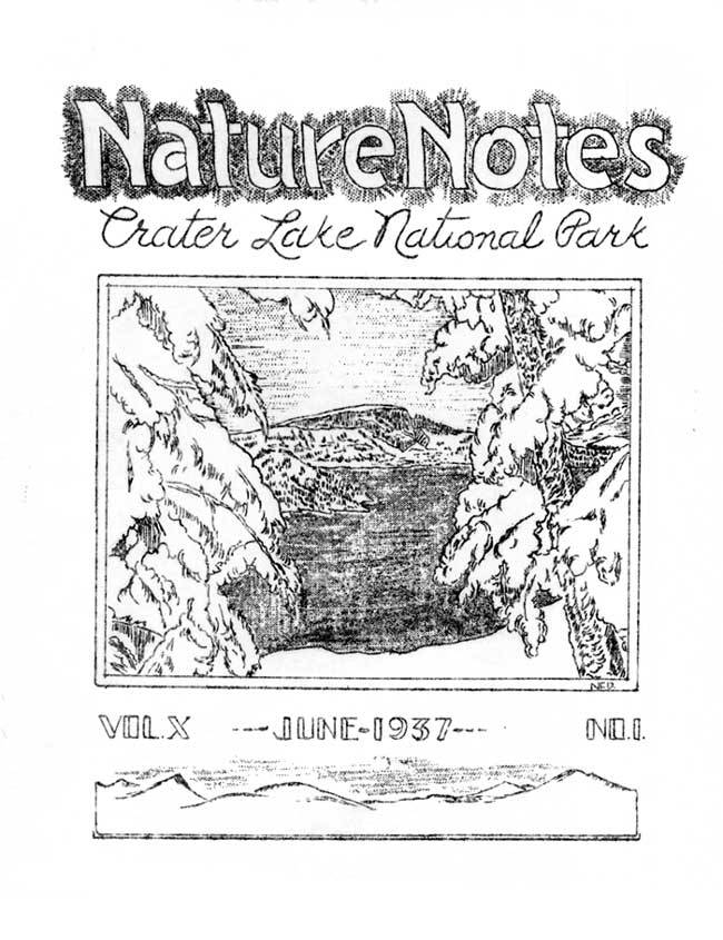 issue cover
