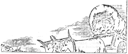 travellers along trail