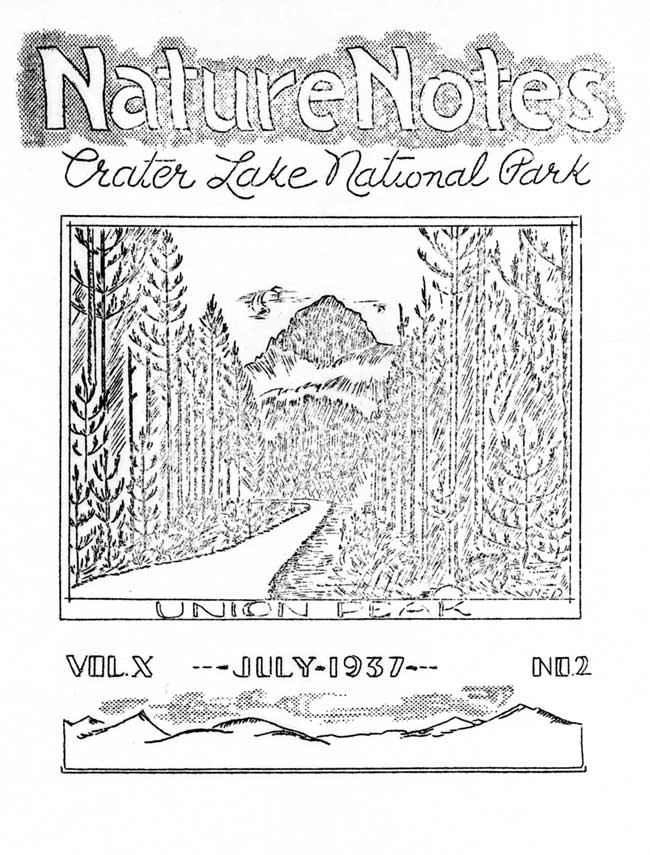 issue cover