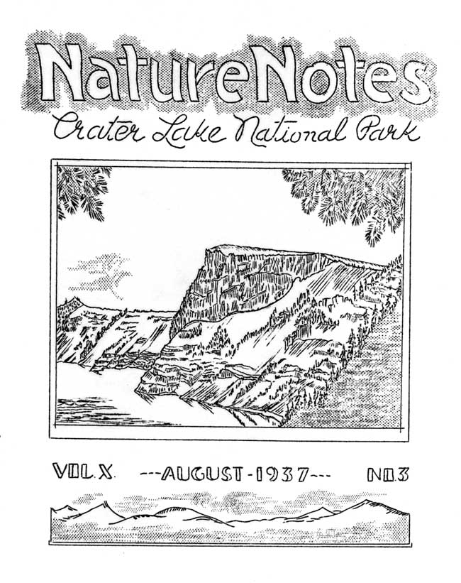 issue cover