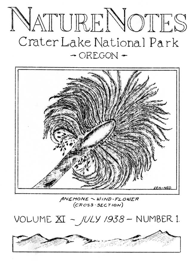 issue cover