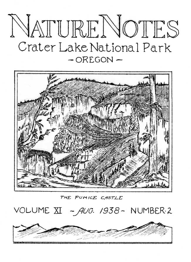 issue cover