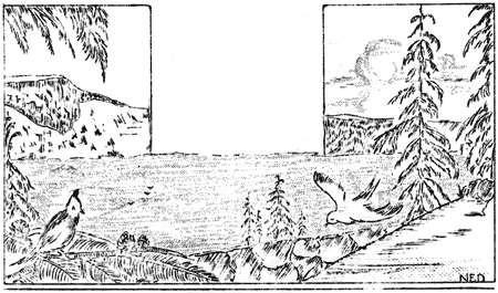 birds along rim of lake