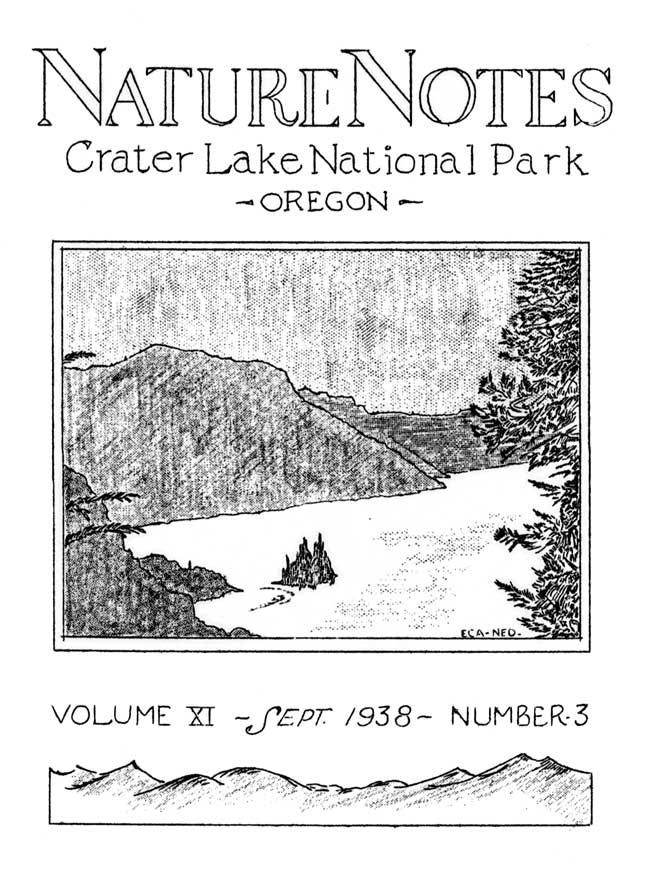 issue cover