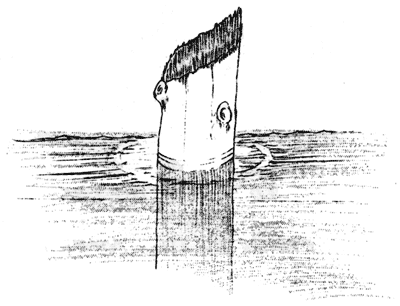 The Old Man of the Lake
