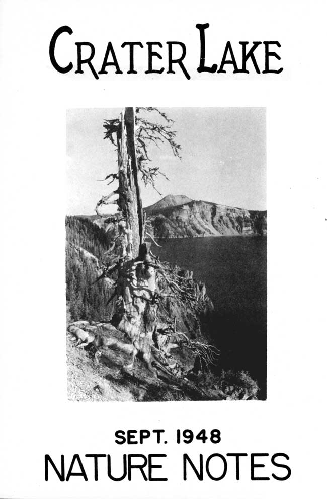 issue cover