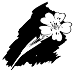 wildflower