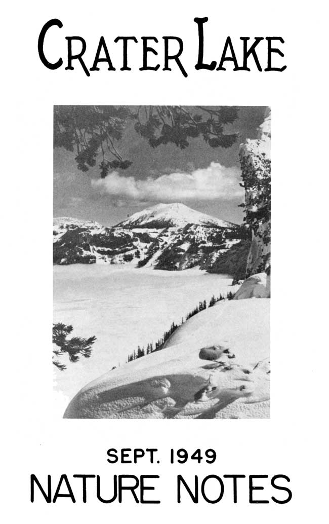 issue cover