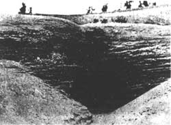 bedded sands